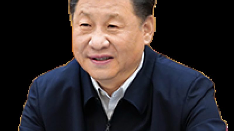 塑料添加剂批发价格背后的考量因素